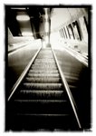 MTR 114