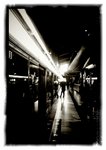 MTR 135