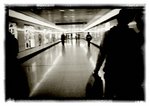 MTR214