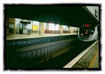 MTR 264