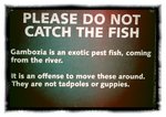 2011-03-12-16-13-14-849
