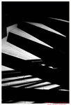A0000699