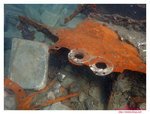PA070011