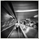 IMG_2393