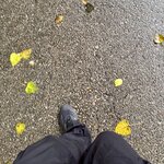 IMG_2404