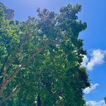 IMG_2425