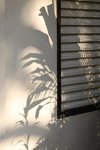 IMG_7857