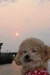 IMG_2701
