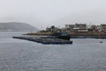 IMG_1658