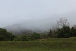 IMG_1712