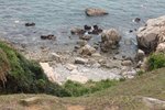 IMG_1840