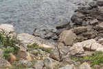 IMG_1843