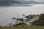 IMG_1870