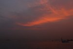 IMG_3559