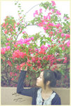 HIN_4320b
