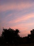 IMG_1755