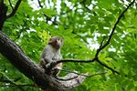 DSC00671