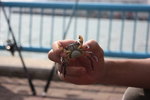 IMG_0857