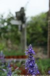 IMG_5221