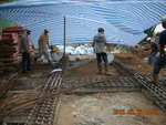 Soil test at GL 10-11,PA-PB of LGF(2)