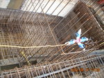(After) Abortive work for rebar of slab at lift pit no. 5 & 6 of LGF(2)