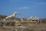DSC_2259 Delos - Terrace of the Lions