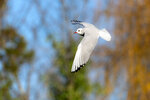 _DSC1416-DxO_DeepPRIME-3r