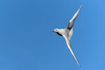 _DSC3029-ARW_DxO_DeepPRIMEXD-Enhanced-SR-1r