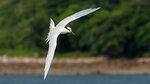 _DSC5209-ARW_DxO_DeepPRIME