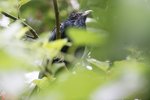_DSC2165r