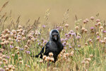 DSC03701-ARW_DxO_DeepPRIMEXDr