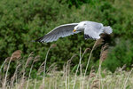 DSC04304-ARW_DxO_DeepPRIMEXDr