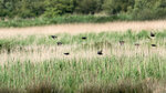 DSC04470-ARW_DxO_DeepPRIMEXDr