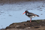 DSC04584-ARW_DxO_DeepPRIMEXDr