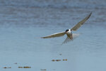 DSC05089-ARW_DxO_DeepPRIMEXDr