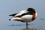 DSC05112-ARW_DxO_DeepPRIMEXDr