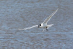 DSC05308-ARW_DxO_DeepPRIMEXDr