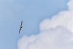 _DSC6508-ARW_DxO_DeepPRIME-Enhanced-SRr