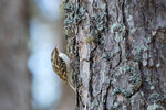 _DSC6741-ARW_DxO_DeepPRIMEXDr