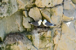 _DSC2708-DxO_DeepPRIME-3r