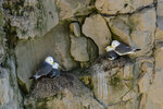 _DSC2729-DxO_DeepPRIME-3r