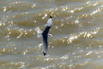 _DSC2777-DxO_DeepPRIME-3r