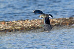 DSC07786-DxO_DeepPRIME-3r