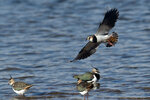 DSC08033-DxO_DeepPRIME-3r