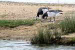DSC04674-DxO_DeepPRIME-3r
