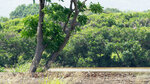 _DSC1154-ARW_DxO_DeepPRIME-2
