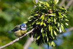 DSC02625-ARW_DxO_DeepPRIMEXDr