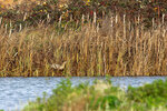 _DSC2546-DxO_DeepPRIME-3r