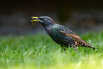 _DSC0152-ARW_DxO_DeepPRIMEXDr