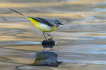 _DSC1772-ARW_DxO_DeepPRIMEXD-Enhanced-SRr